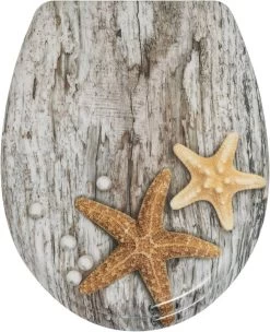Duroplast Toilettensitz Mit Absenkautomatik Pearl And Starfish