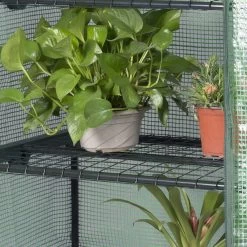 Gewächshaus, Foliengewächshaus Mit Aufrollbarer Tür, Winterfest 14 Gewächshaus, Foliengewächshaus Mit Aufrollbarer Tür, Winterfest -Möbel Store Foliengewaechshaus Gartenhaus Gemuese grosse Auswahl GWH00302gn 6 1280x1280