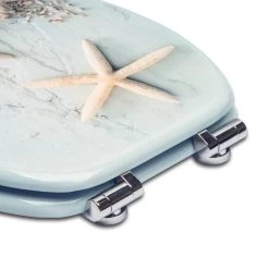 WC-Sitz MDF Seestern Mit Absenkautomatik -Möbel Store WC Sitz MDF mit Absenkautomatik 2479 Seestern7 1280x1280