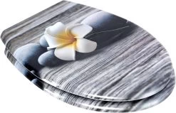 WC-Sitz Aus Duroplast Mit Absenkautomatik In Deco Design Weiße Frangipani -Möbel Store WC Sitz aus Duroplast mit Absenkautomatik Oval WS2842 Weisse Frangipani7 1280x1280